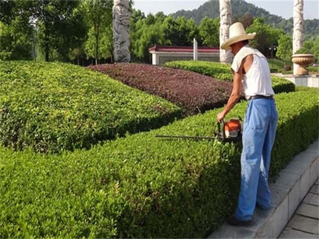 园林绿化